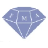 The Financial Markets Academy