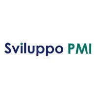 Sviluppo PMI