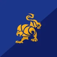 International Brazilian Jiu Jitsu Federation