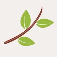 California Center of Excellence for Trauma Informed Care