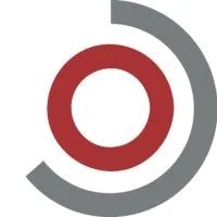 CEO Consulting