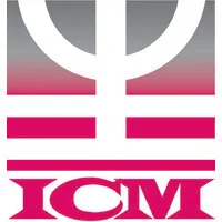 ICM Consulting