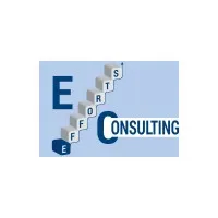 Efforts Consulting