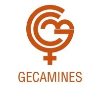 Gecamines S.A.