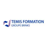 TEMIS FORMATION