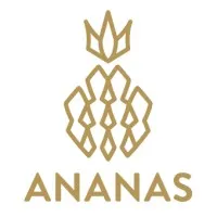 Ananas Academy