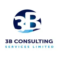 3B Consulting Services Limited