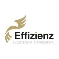 EFFIZIENZ Excelência Empresarial