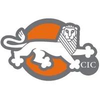 Cambridge International Consulting