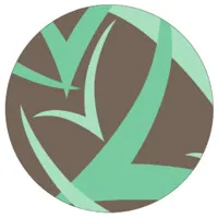 Voces Vitales Costa Rica