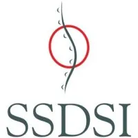 Six Sigma Development Solutions, Inc.