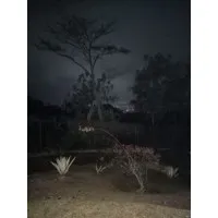 Kampung Inggris Pare Kediri | Kampung Course