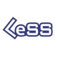 The LeSS Company