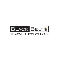 Black Belt Solutions