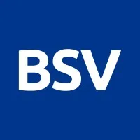 BSV Blockchain