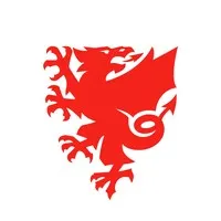Football Association of Wales