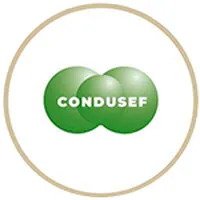 Comisión Nacional para la Protección y Defensa de los Usuarios de Servicios Financieros (CONDUSEF)