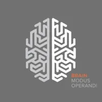 BMO - Brain Modus Operandi
