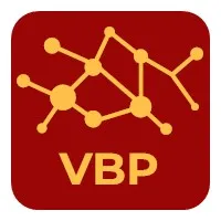 Virtual Business Professional