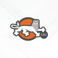 CIC - Cambridge International Consulting