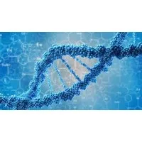LifeScience WorldWide