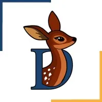 Doe'sInfotech Solutions