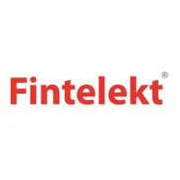 Fintelekt