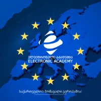 ელექტრონული აკადემია - Electronic Academy