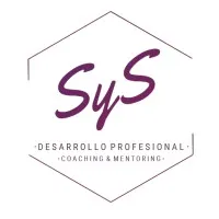 Desarrollo Profesional SyS