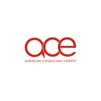 American Consulting Experts (ACE)