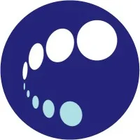 Projektiammattilaiset PRY, Project Professionals Finland