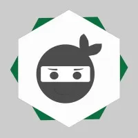 Ninja do Excel