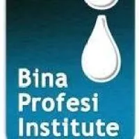 Bina Profesi Institute
