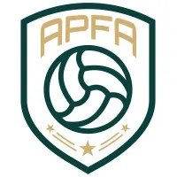 The Association of Professional Football Analysis