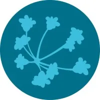 Center for Scientific Collaboration and Community Engagement