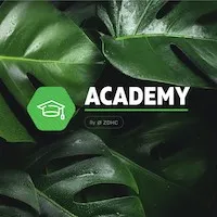 ZDHC Academy