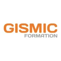 GISMIC Formation