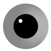 Fascinating Academy Radima Paříka