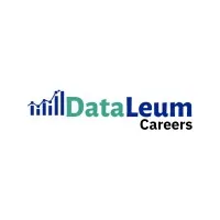 Dataleum Careers