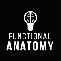 Functional Anatomy