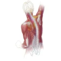 Manual Concepts: Providing Higher Education for Physiotherapists around the world