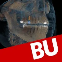 Boston University Henry M. Goldman School of Dental Medicine