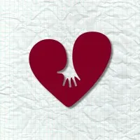 Attachment & Trauma Network, Inc.