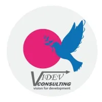 ViDEV CONSULTING