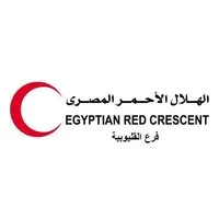 Egyptian Red Crescent- First Aid Program (Qalyubia Branch)