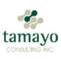 Tamayo Consulting, Inc.