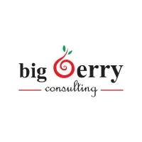 BIG BERRY CONSULTING SDN BHD