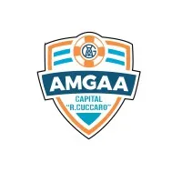 AMGAA Capital