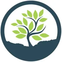 Media Development Foundation