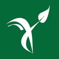 Institute for Solution-Focused Therapy